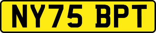 NY75BPT