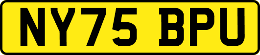 NY75BPU