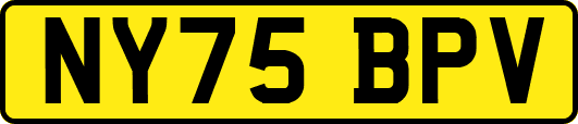 NY75BPV