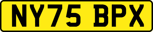 NY75BPX