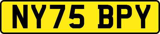 NY75BPY