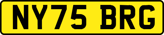 NY75BRG