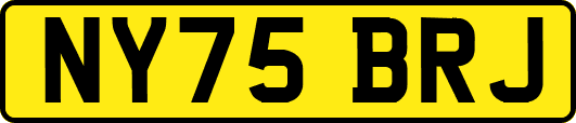 NY75BRJ