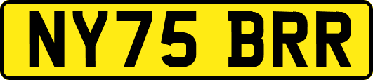 NY75BRR
