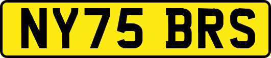 NY75BRS