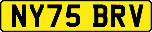 NY75BRV