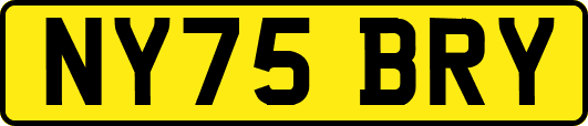 NY75BRY