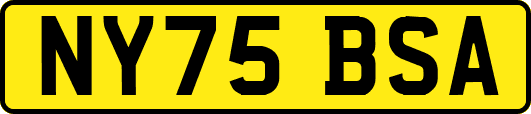 NY75BSA