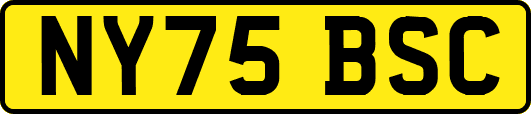 NY75BSC