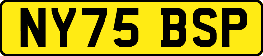NY75BSP