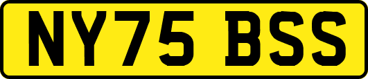 NY75BSS