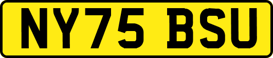 NY75BSU