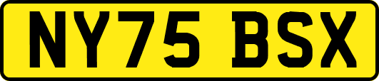 NY75BSX
