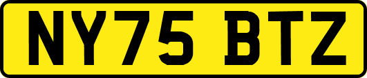 NY75BTZ