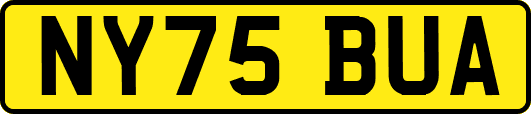 NY75BUA
