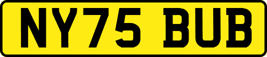 NY75BUB