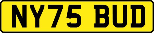 NY75BUD