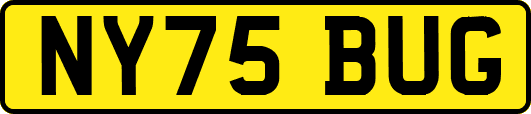 NY75BUG