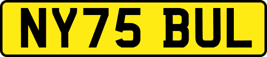 NY75BUL