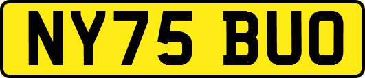 NY75BUO