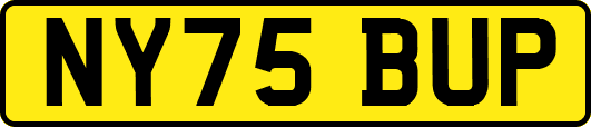 NY75BUP