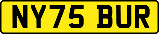 NY75BUR