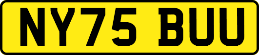 NY75BUU