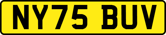 NY75BUV