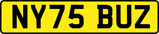 NY75BUZ