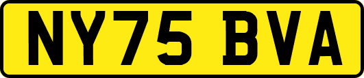 NY75BVA