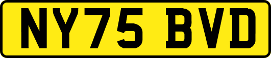 NY75BVD