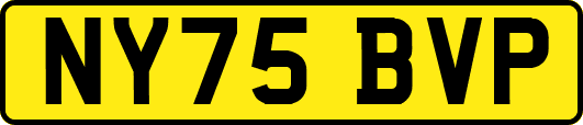 NY75BVP