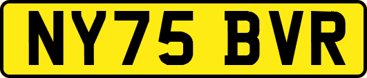 NY75BVR