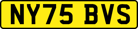 NY75BVS