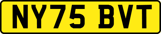 NY75BVT