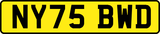NY75BWD