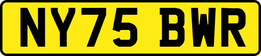 NY75BWR