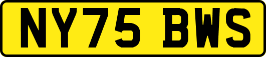 NY75BWS