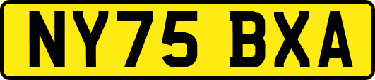 NY75BXA