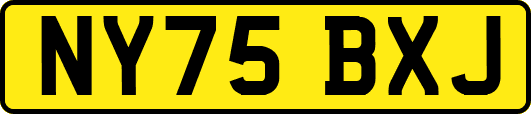 NY75BXJ