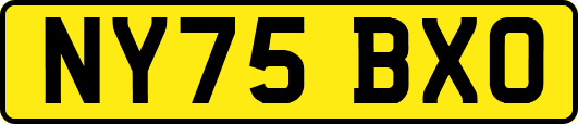 NY75BXO