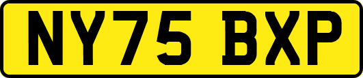 NY75BXP
