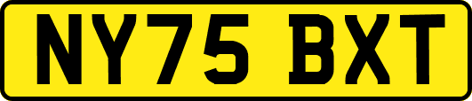 NY75BXT