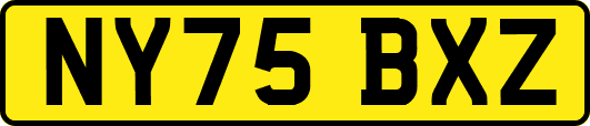 NY75BXZ