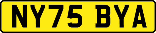 NY75BYA