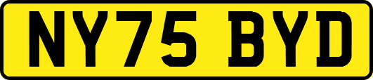 NY75BYD