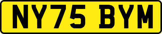 NY75BYM