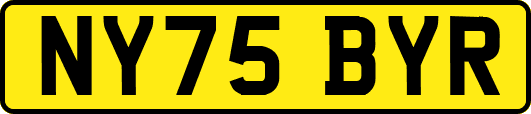 NY75BYR