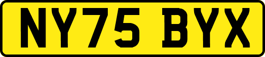 NY75BYX