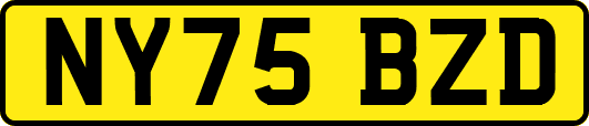 NY75BZD